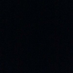 Meet your Posher, Gracie